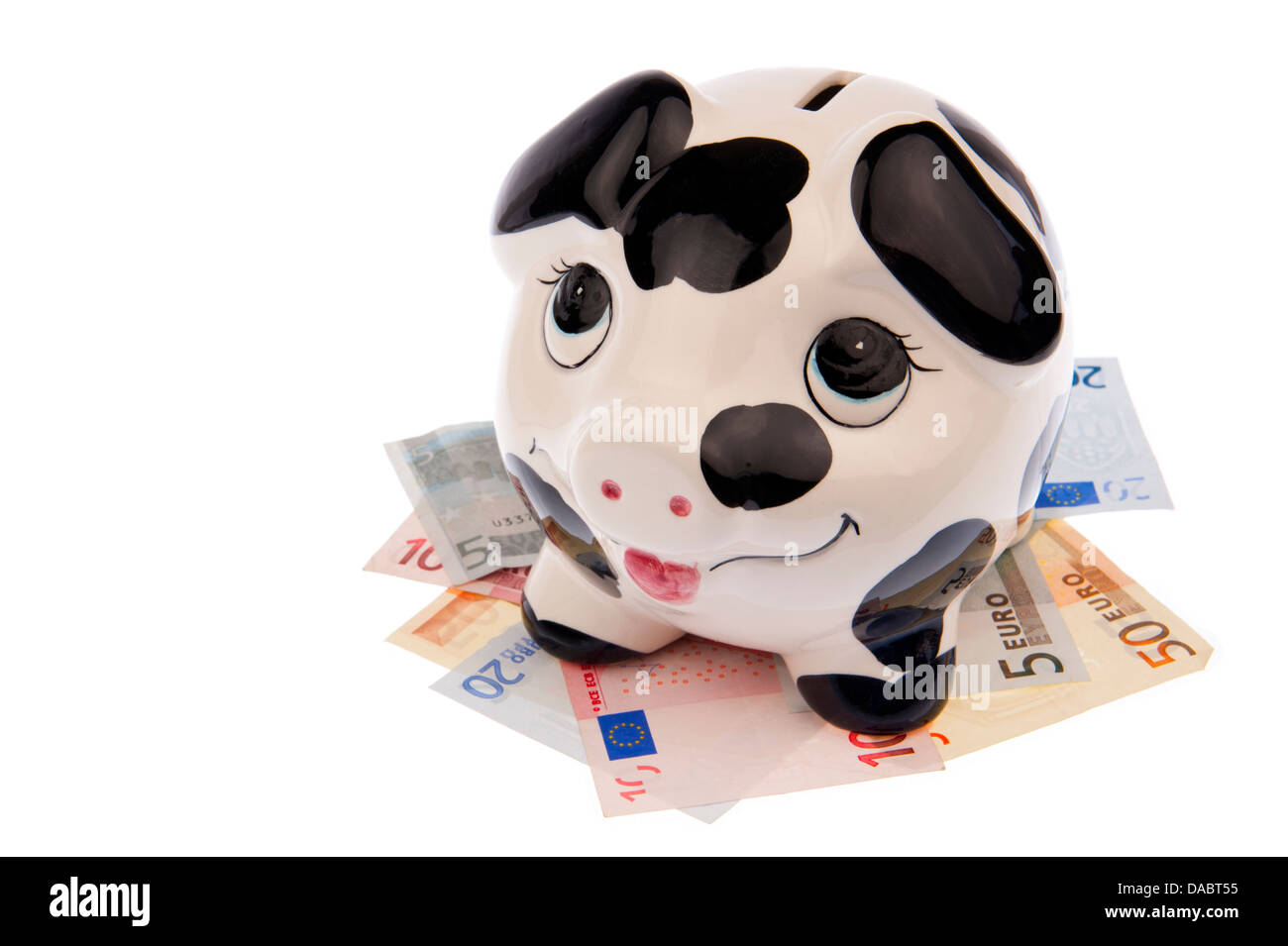 Tirelire Vache noir et blanc avec des taches, regardant vers le haut, debout sur un lit de billets en euros, isolé dans l'arrière-plan blanc Banque D'Images