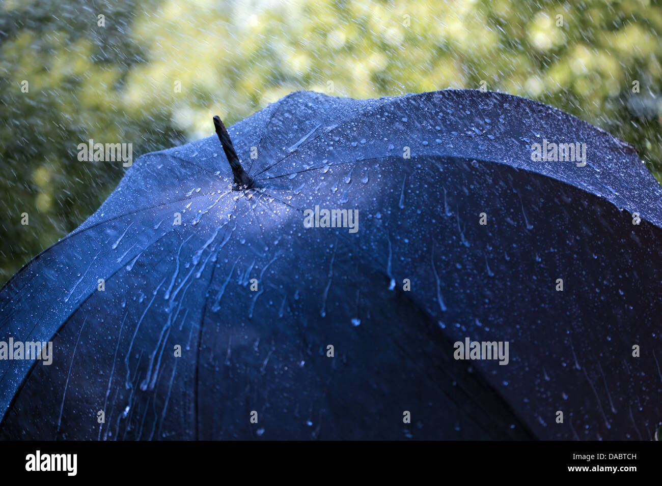 Pluie sur umbrella Banque D'Images