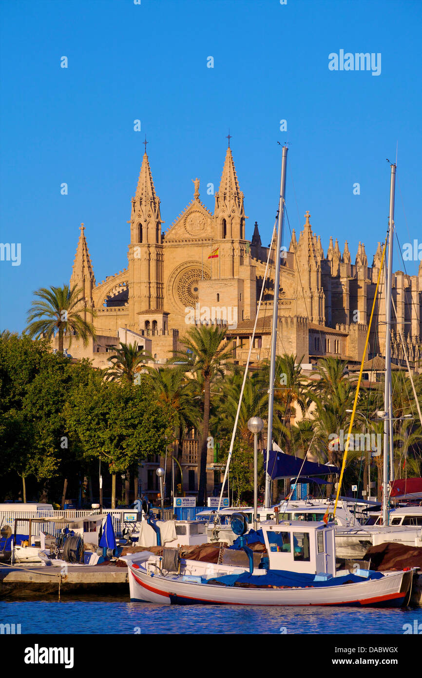 Cathédrale et Port, Palma, Majorque, Espagne, Europe Banque D'Images