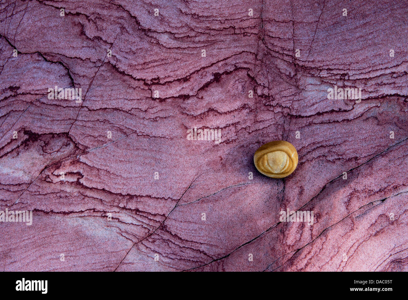 Érodé rocher de grès rose et de galets. La côte de Northumberland. L'Angleterre Banque D'Images