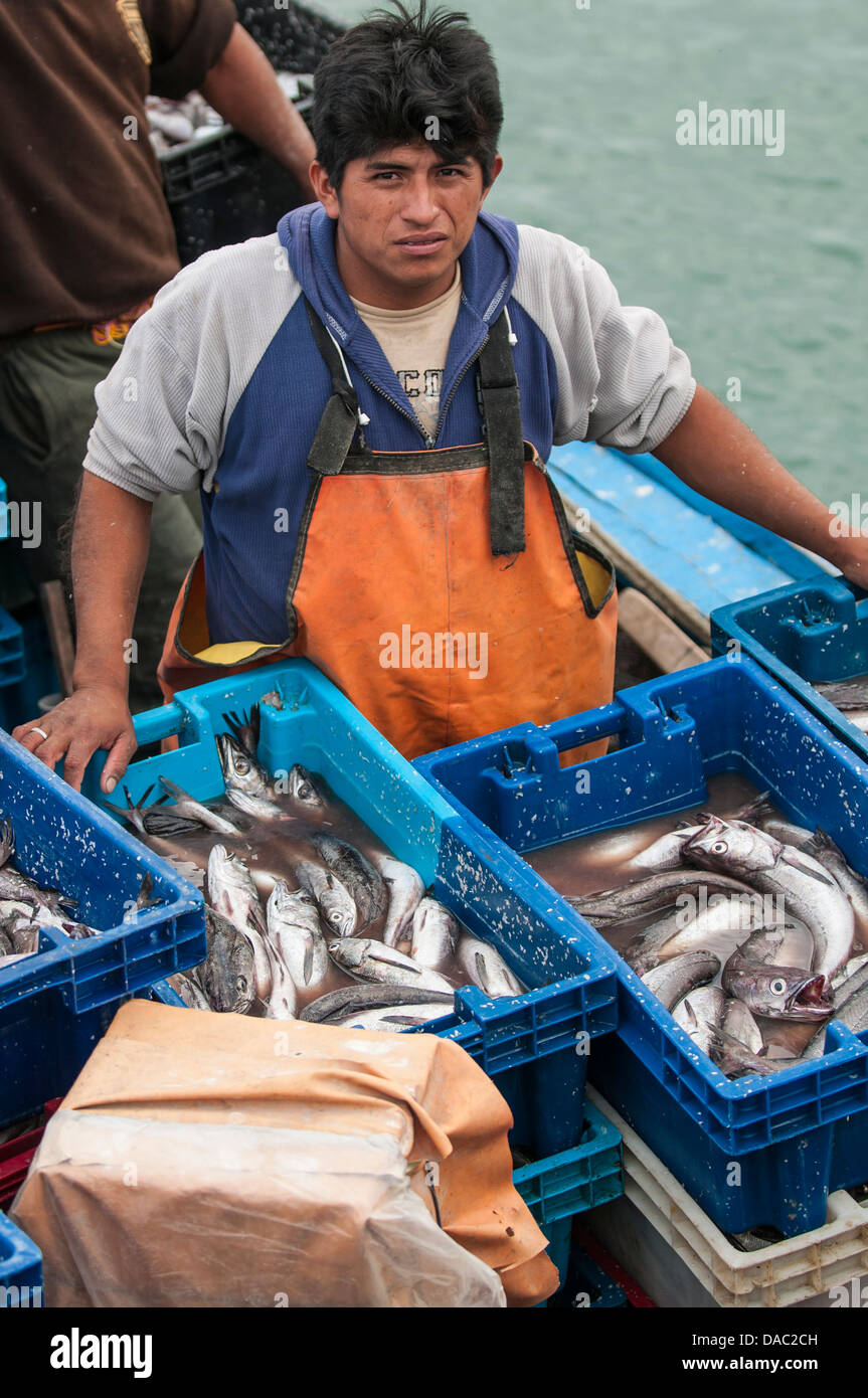 Les pêcheurs de sardine poissons poissons boîtes caisses dans l'industrie de Los Organos village près de Mancora, Pérou. Banque D'Images