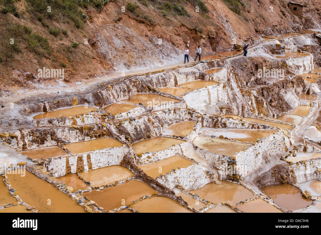 Salinas de Maras les étangs d'eau salée avec terrasse panoramique, terrasses des mines Mines Vallée Sacrée, le Pérou. Banque D'Images