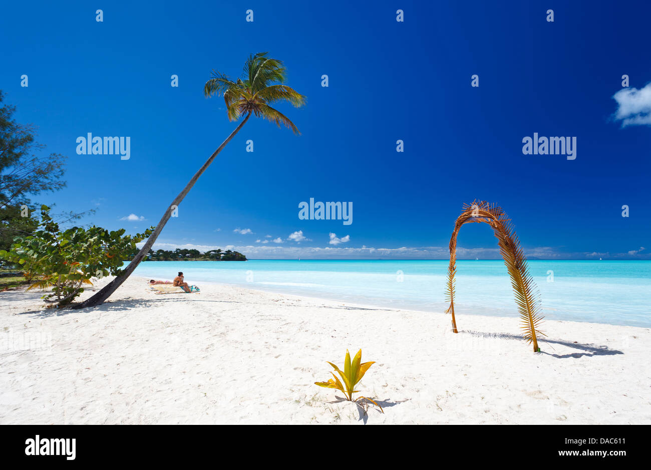 Plage des caraïbes blanc parfait avec un palmier et arch et mer turquoise à Antigua. Banque D'Images