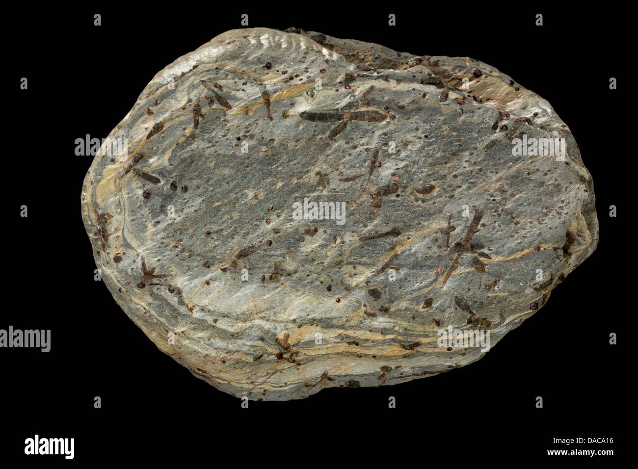 Le Schiste grenat staurotide, Keystone, Dakota du Sud Banque D'Images