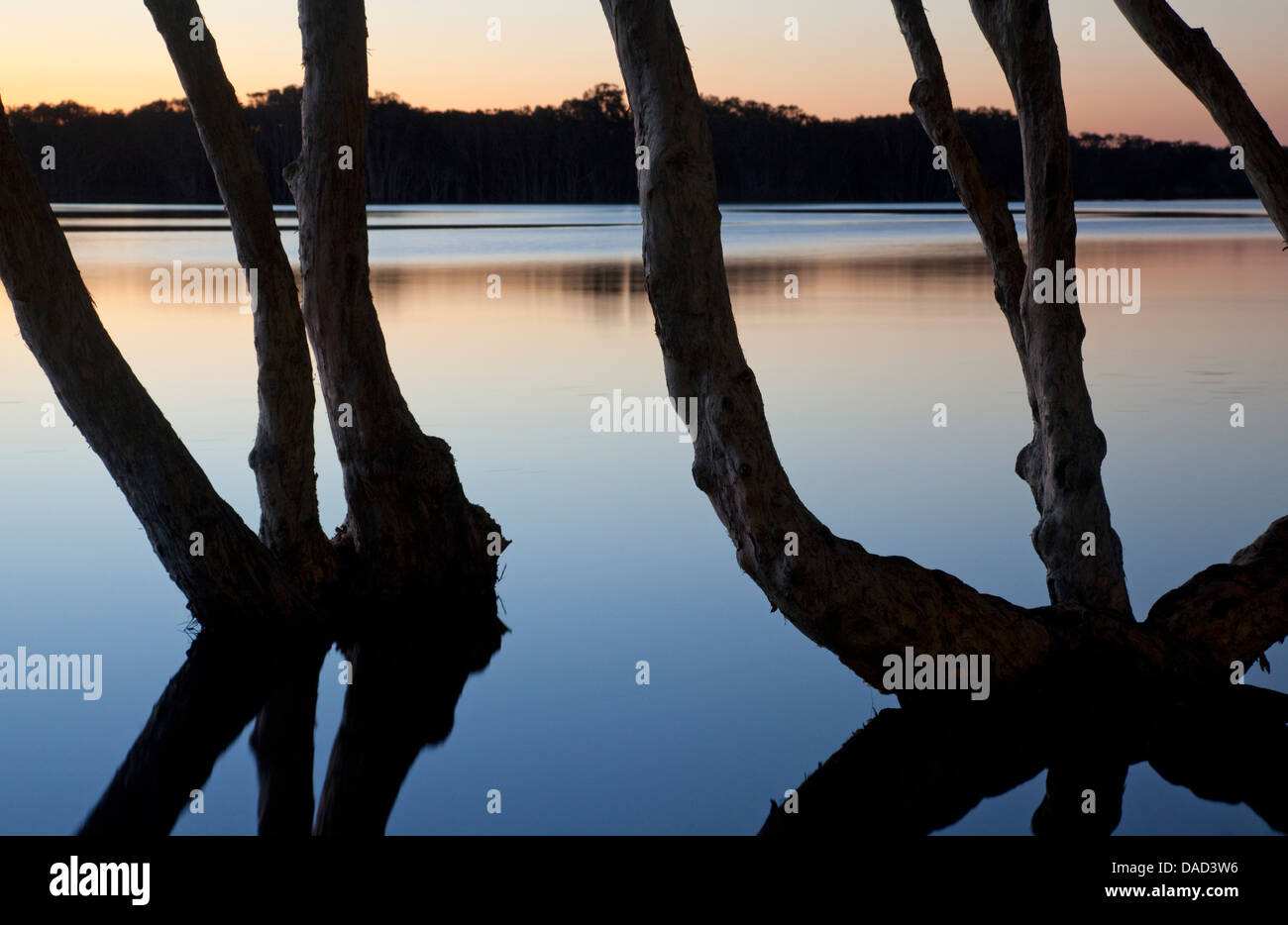 Lake Ainsworth, Lennox Head, NSW, Australie Banque D'Images