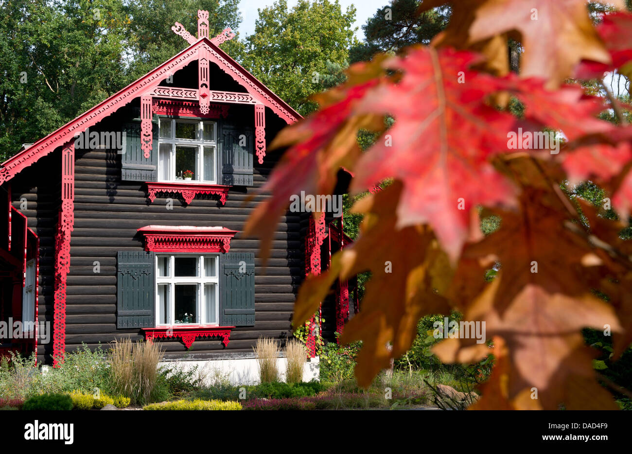 Les feuilles de couleur rouge autmn entourent l'ancienne maison Maxim-Gorki à Bad Saarow, Germamy, 4 octobre 2011. La maison, construite dans un style architectural Scandinave, accueillir jusqu'à 1996, une bibliothèque, des expositions temporaires et d'une Maxime Gorki memorial. Photo : Patrick Pleul Banque D'Images