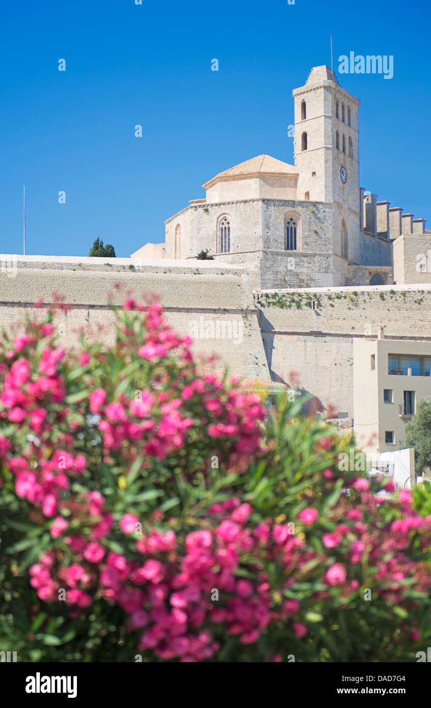 La Cathédrale d'Ibiza, de la vieille ville (Dalt Vila), UNESCO World Heritage Site, Ibiza, Baléares, Espagne, Europe Banque D'Images
