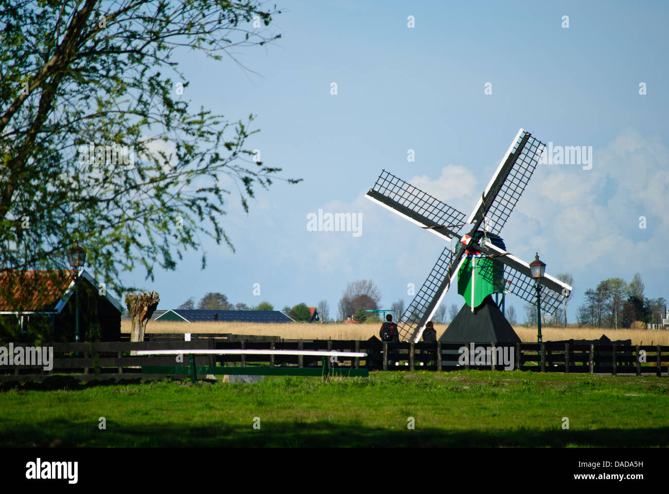 Une éolienne dans le domaine de la village de Zaanse Schans Banque D'Images