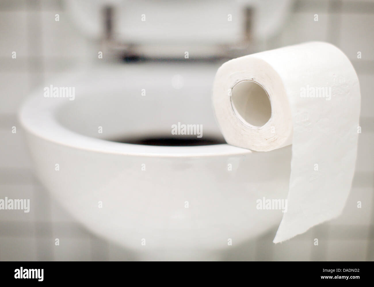 L'illustration montre un rouleau de papier de toilette dans une toilette pour hommes à Duesseldorf, Allemagne, 31 octobre 2011. Chaque dixième allemand souffre de l'incontinence. La Continence Society allemande va maintenant se rencontrer pour la conférence annuelle à Cologne. Photo : Martin Gerten Banque D'Images