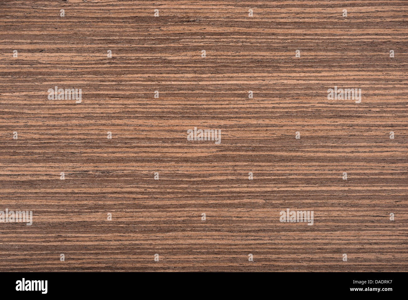 Arrière-plan de fragments pour les concepteurs de texture en bois Banque D'Images