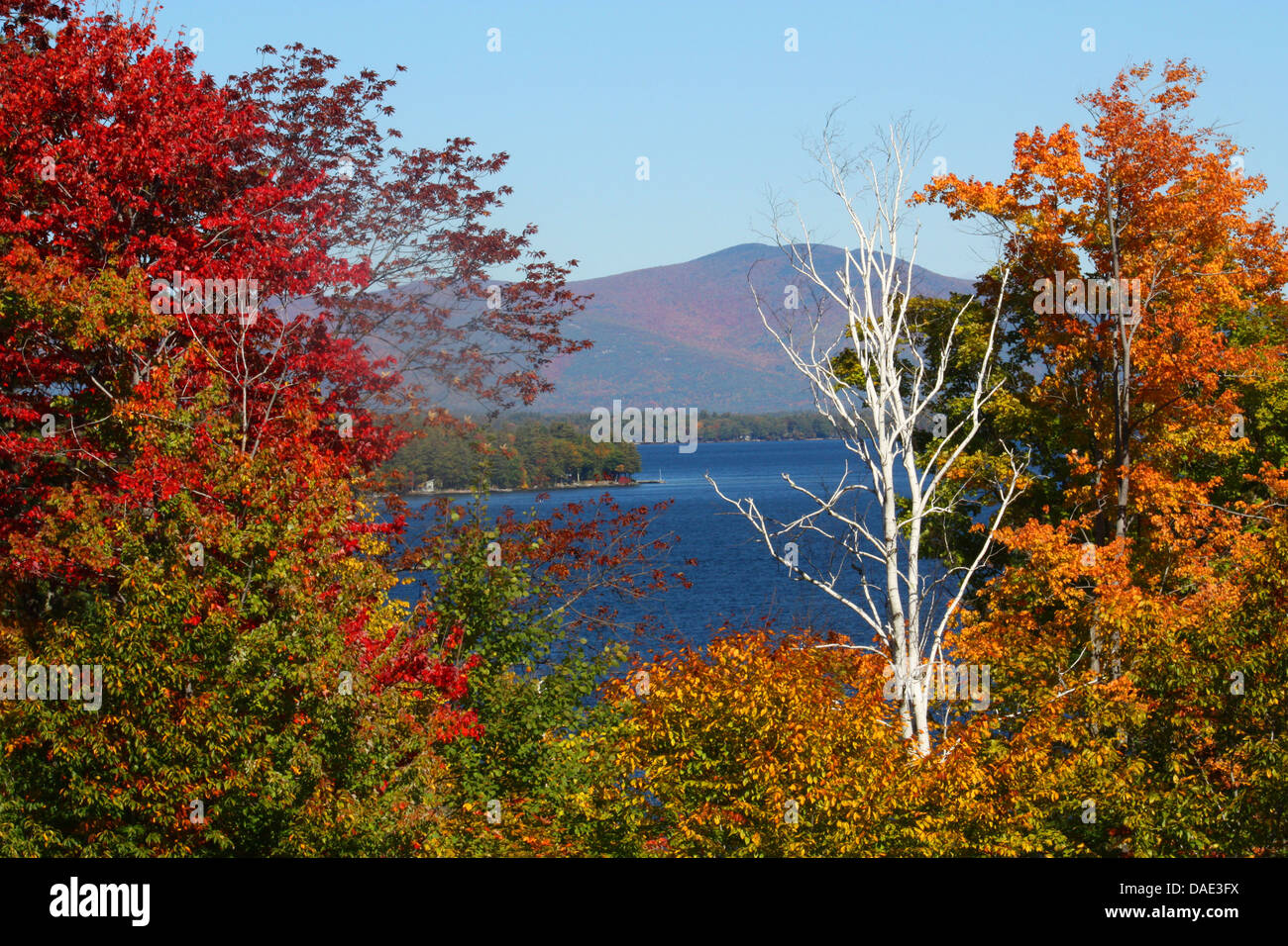 Les arbres d'automne, le lac Winnipesaukee, New Hampshire Photo Stock -  Alamy