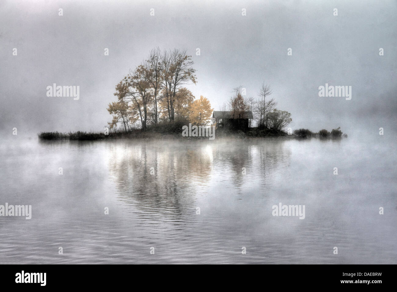 Eibsee ile de dans le brouillard, en Allemagne, en Bavière, Oberbayern, Haute-Bavière Banque D'Images