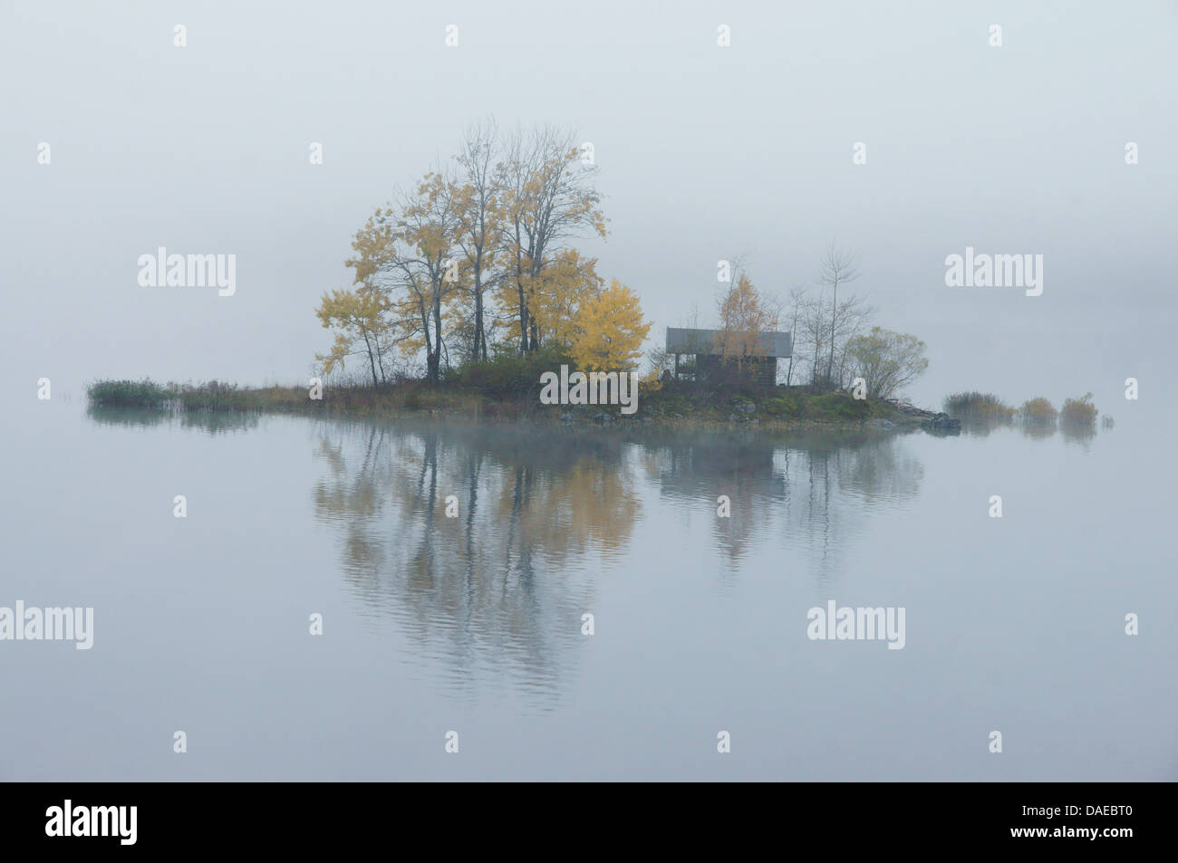 Eibsee ile de dans le brouillard, en Allemagne, en Bavière, Oberbayern, Haute-Bavière Banque D'Images