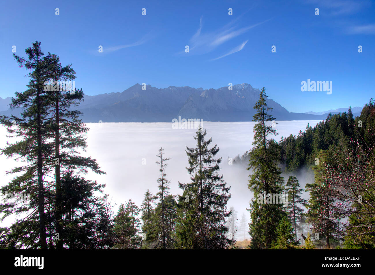 Voir plus de brouillard au sol à Zugspitze, Allemagne, Bavière, Oberbayern, Upper Bavaria, Garmisch-Partenkirchen Banque D'Images