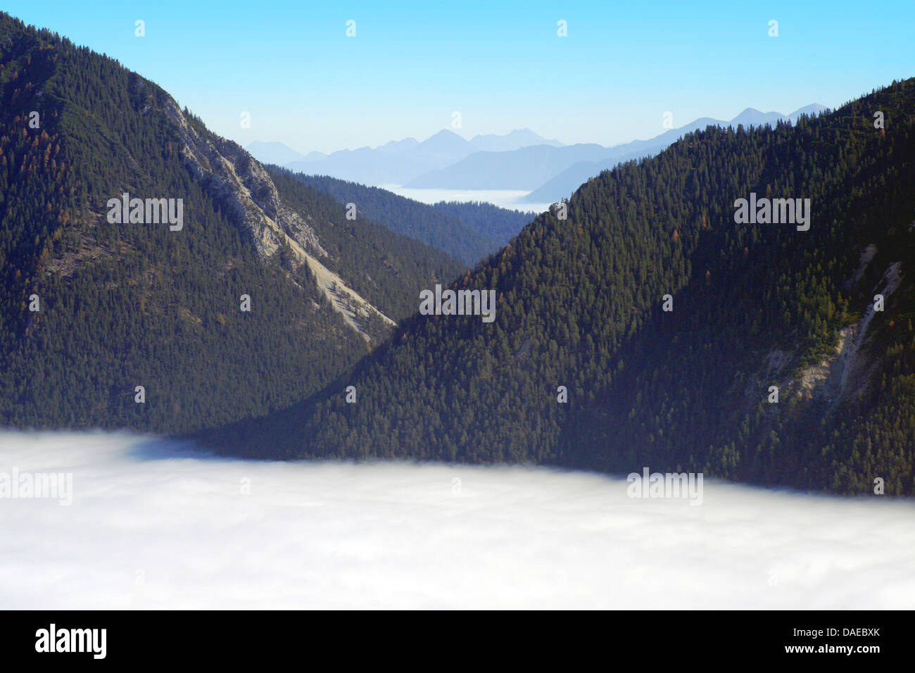 Voir plus de brouillard au sol de Karwendel, Allemagne, Bavière, Oberbayern, Haute-Bavière, Garmisch-Partenkirchen Banque D'Images