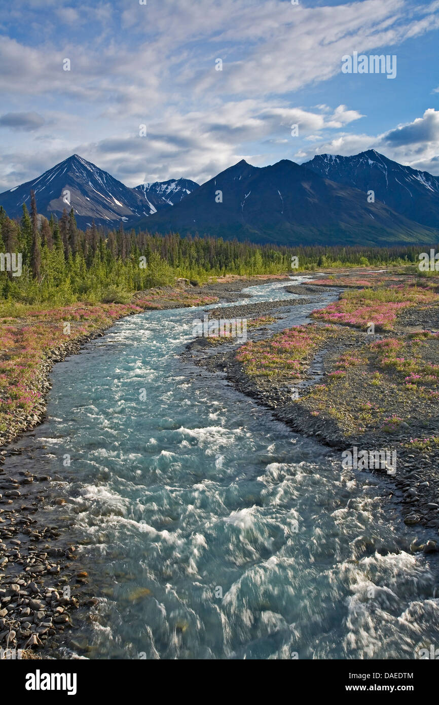 Ruisseau Quill und de montagnes , de Kluane Kluane National Park, Canada Banque D'Images