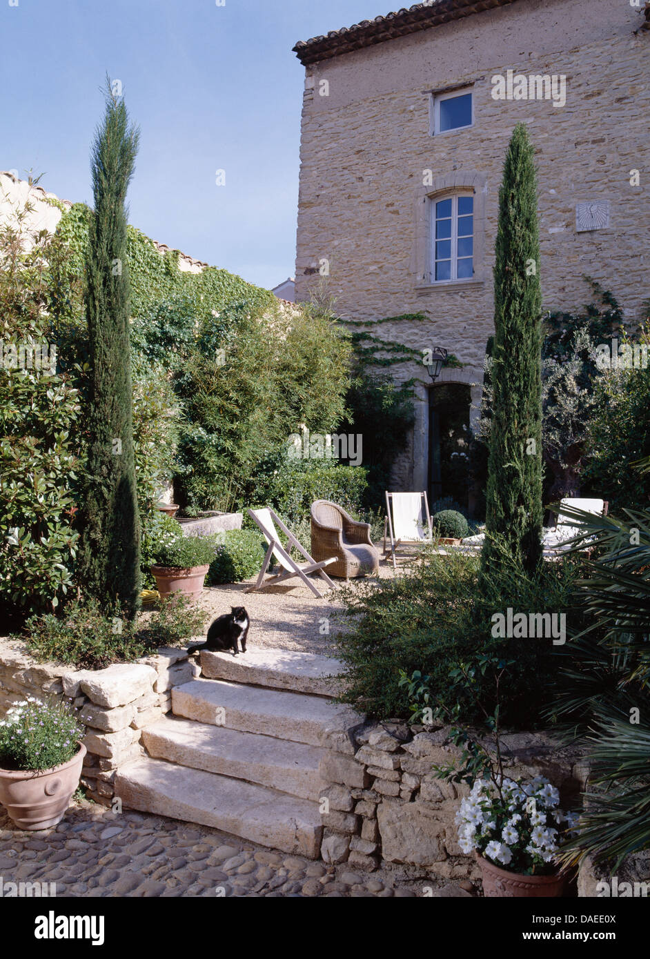 Fastigiate cyprès méditerranéen d'un côté ou de marches en pierre pour terrasse de maison de campagne en Provence Banque D'Images