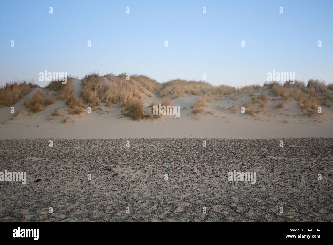 Plage et dunes de sable avec de l'herbe et de ciel bleu Banque D'Images