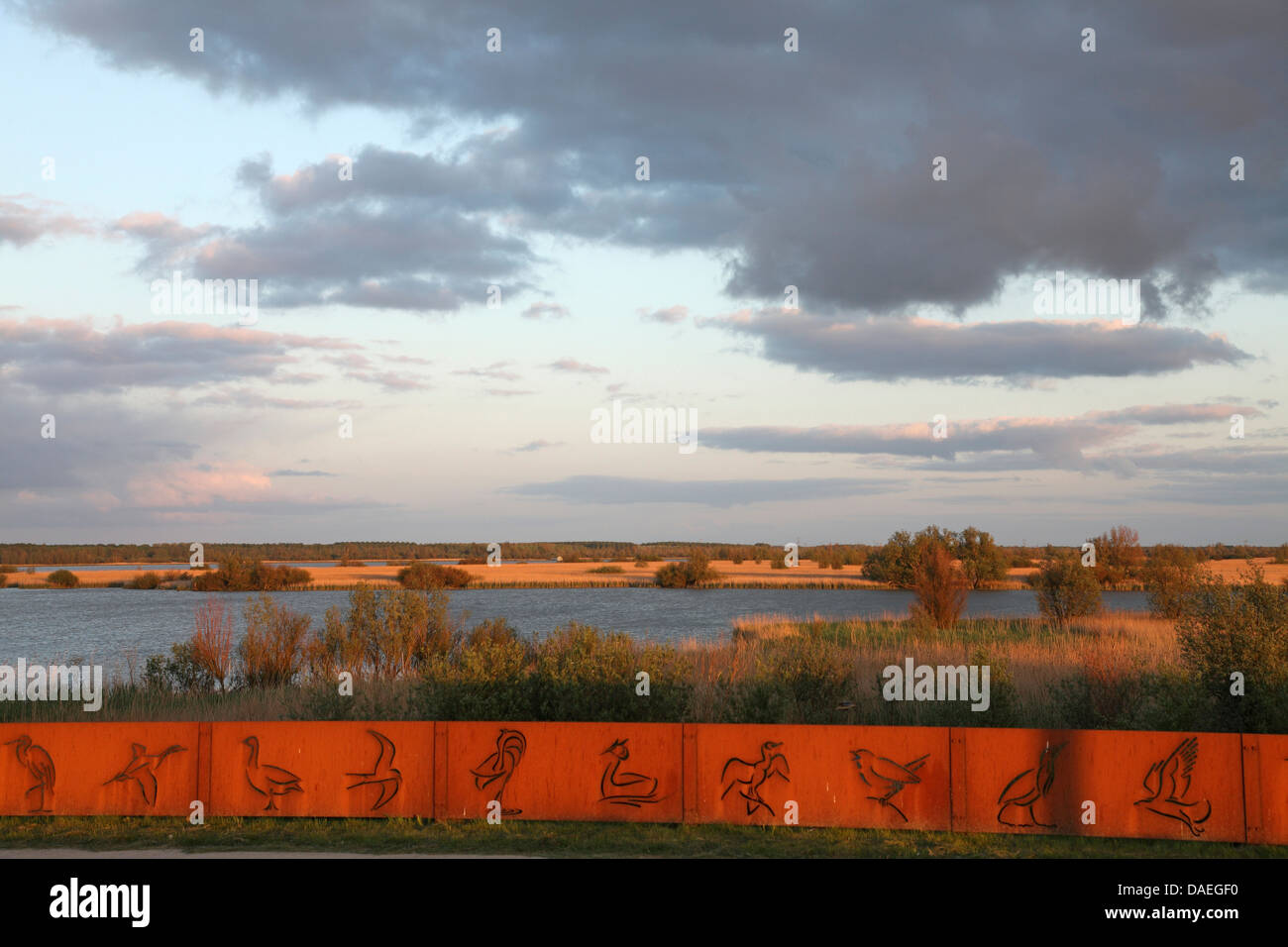 Bird sanctury Oostvaardersplassen, Pays-Bas, le Flevoland Banque D'Images