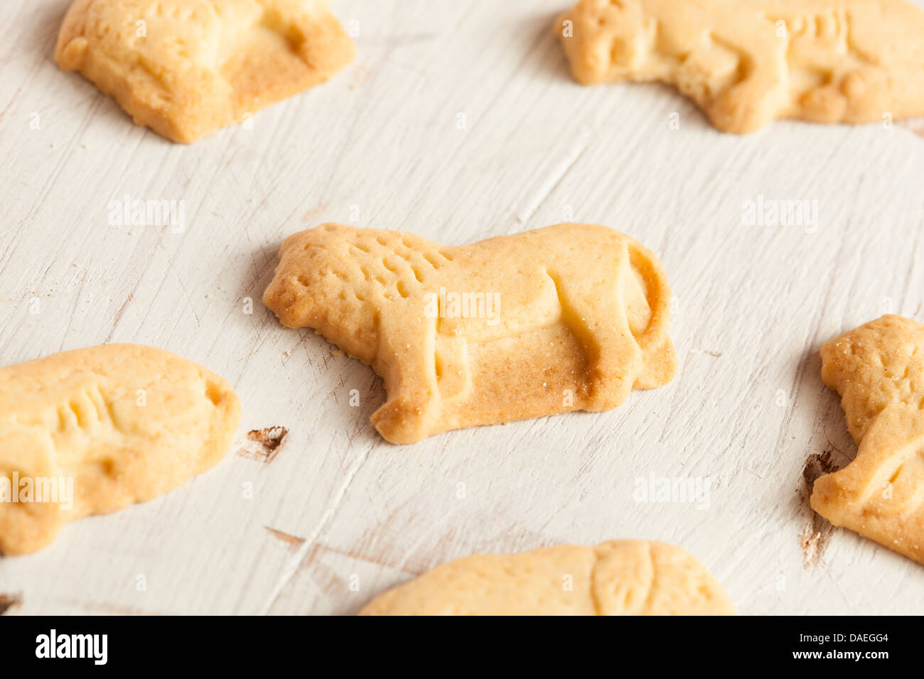 Citron croquants Animal Cracker les cookies sur un arrière-plan Banque D'Images