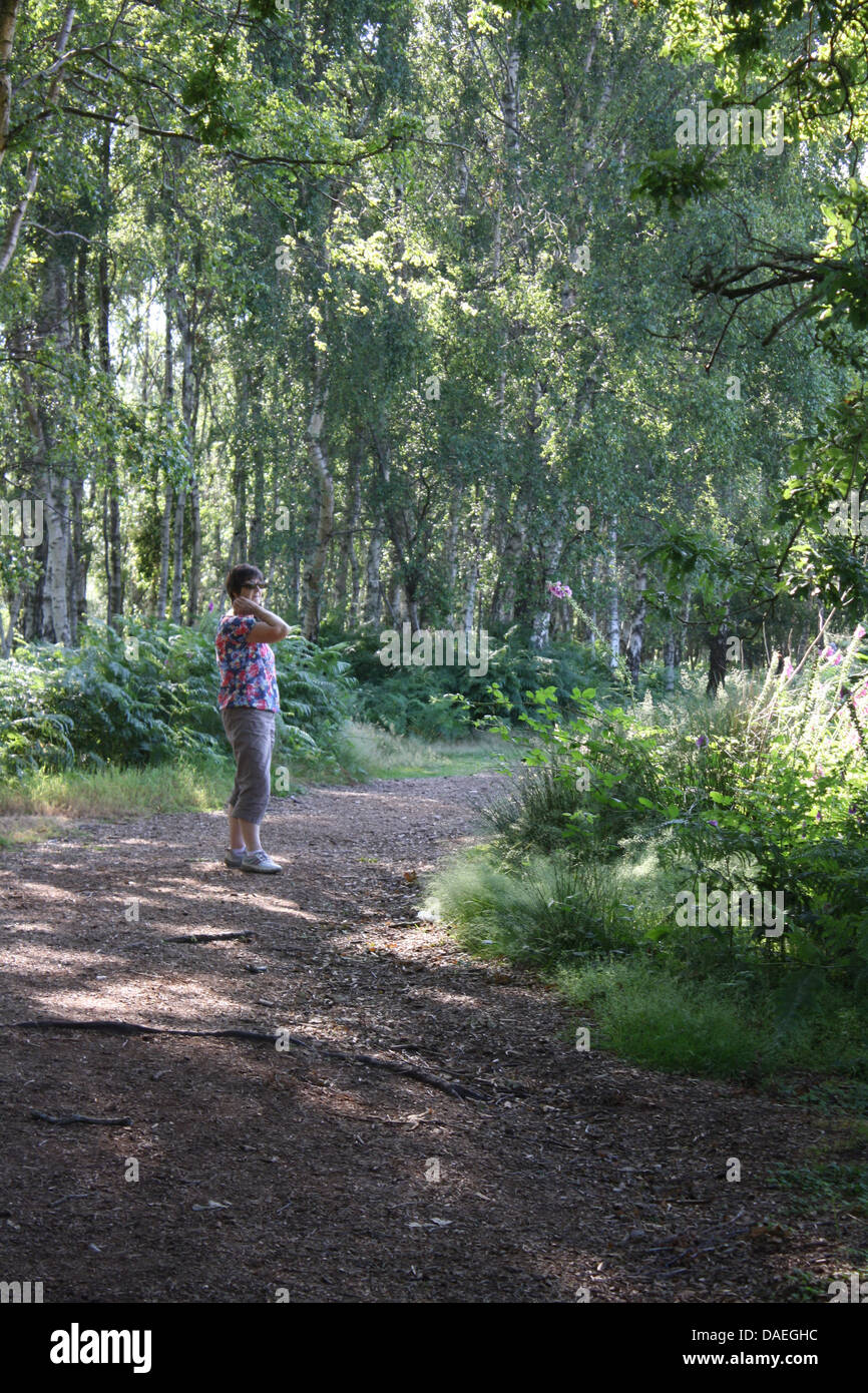 Un sentier vert verdoyant en plein soleil à Arne Dorset avec une marchette femelle. Promenade dans la nature. Amble. Promenez-vous à l'air frais. Banque D'Images