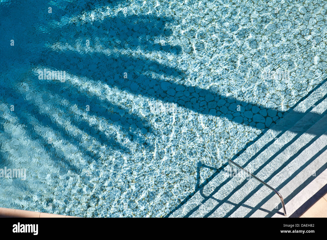 Piscine avec piscine à l'ombre des palmiers. Banque D'Images