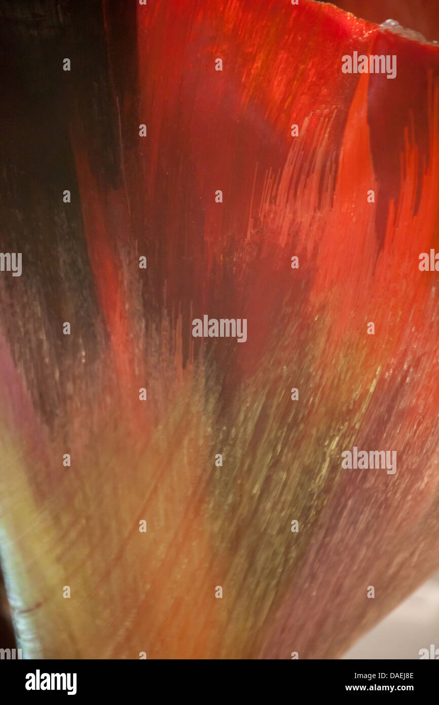 Couleurs et motifs abstraits dans verre Banque D'Images