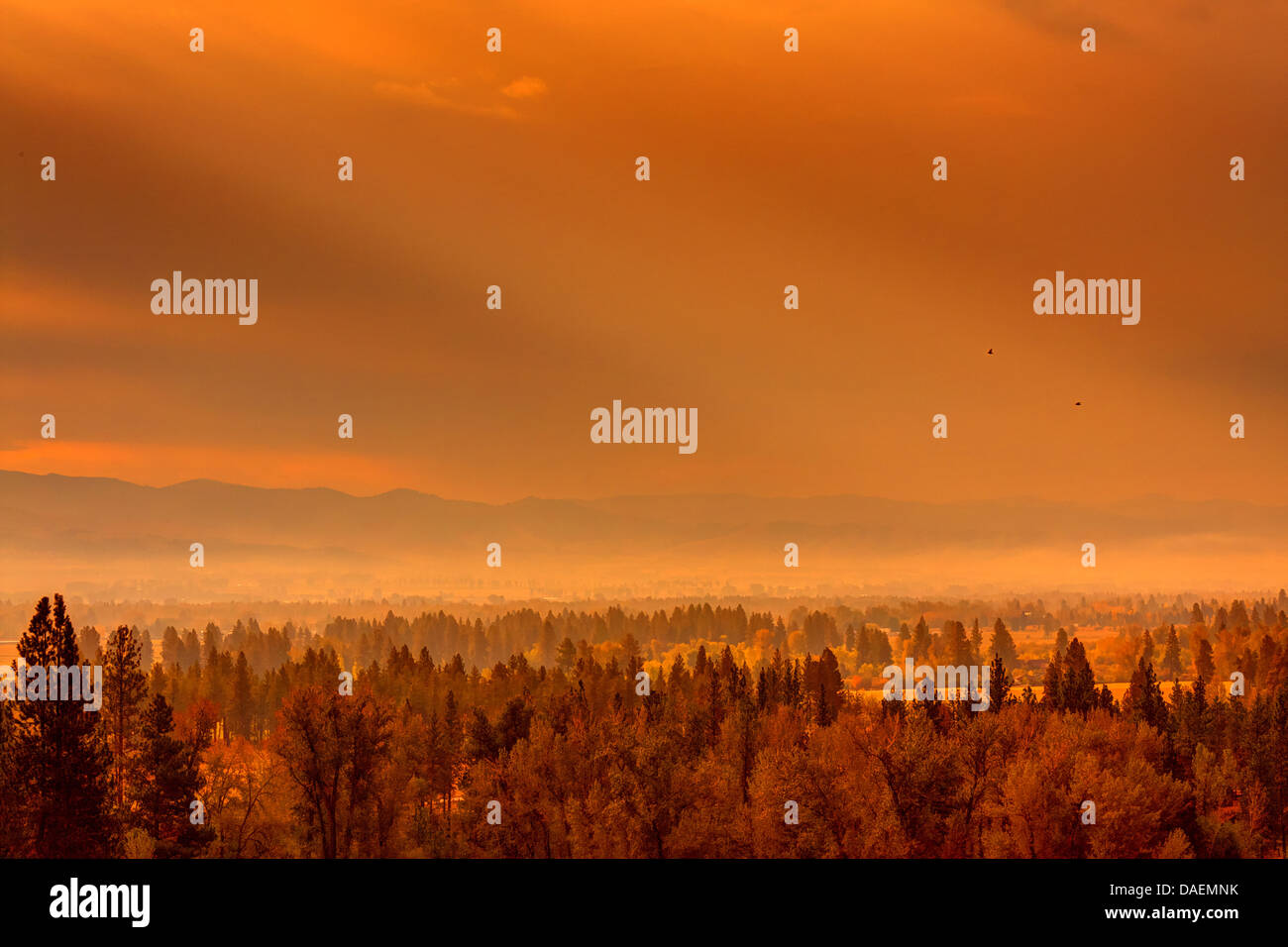 Matin d'automne brumeux sur banlieue de Hamilton, Montana, avec teinte vintage orange Banque D'Images