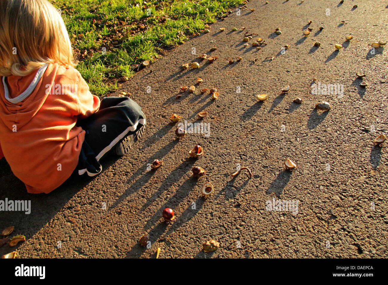 Petit enfant assis sur une façon de jouer avec les châtaignes, Allemagne Banque D'Images