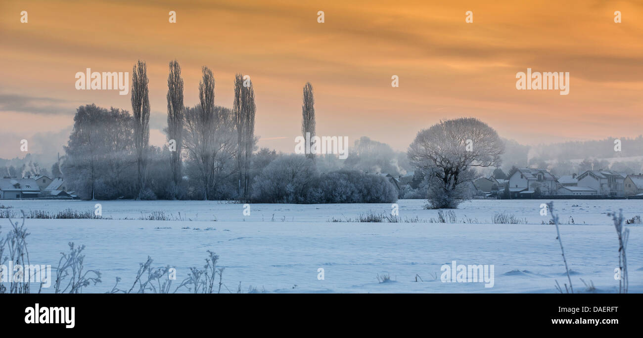 Paysage de neige avec brouillard au sol dans la lumière du matin, l'Allemagne, Bavière, Isental Banque D'Images