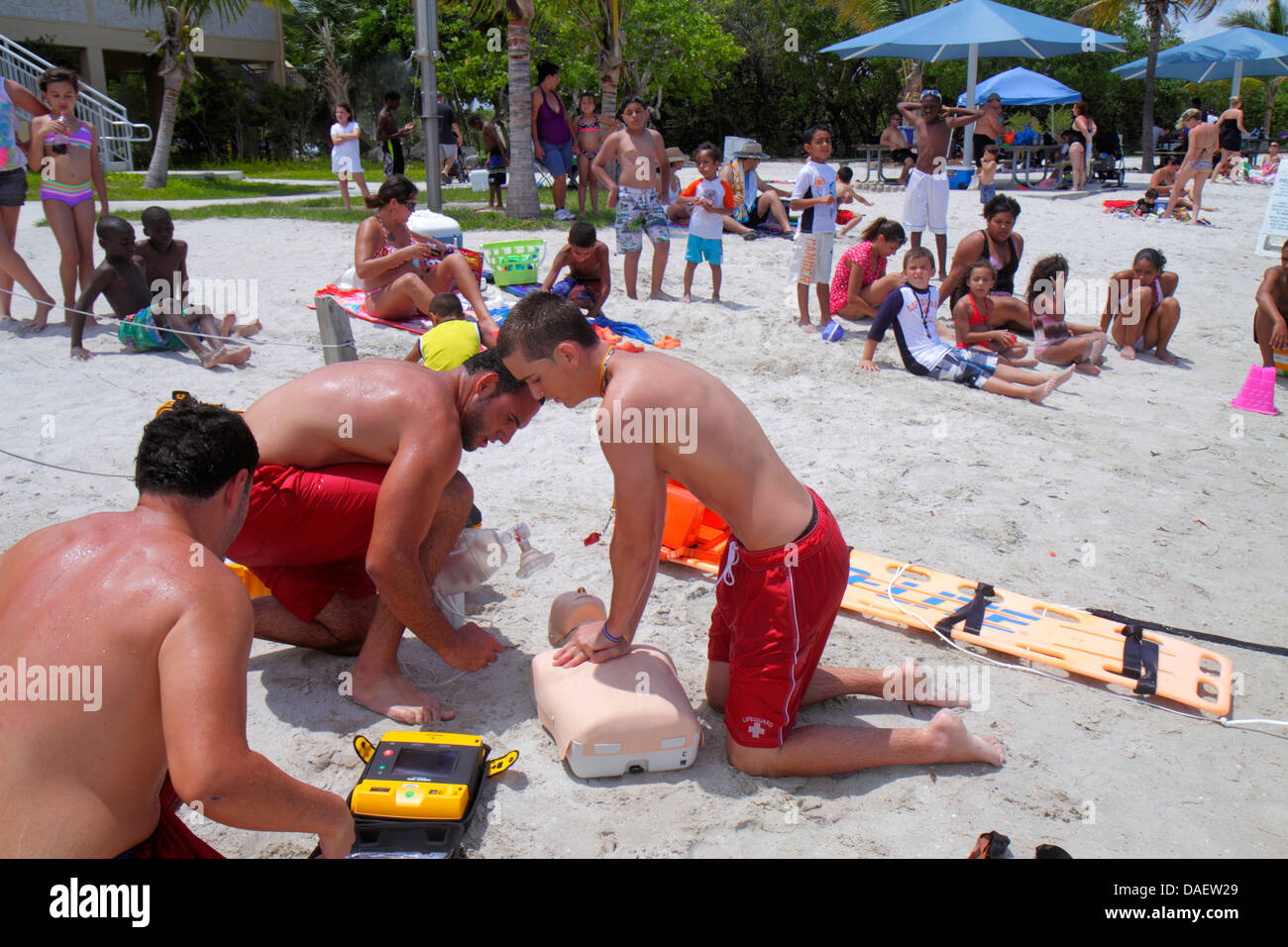 Miami Florida,Homestead,Homestead Bayfront Park,Biscayne Bay eau,sauveteurs,formation des maîtres nageurs,sauvetage,homme hommes adultes,mannequin de RCR,mannequin, Banque D'Images