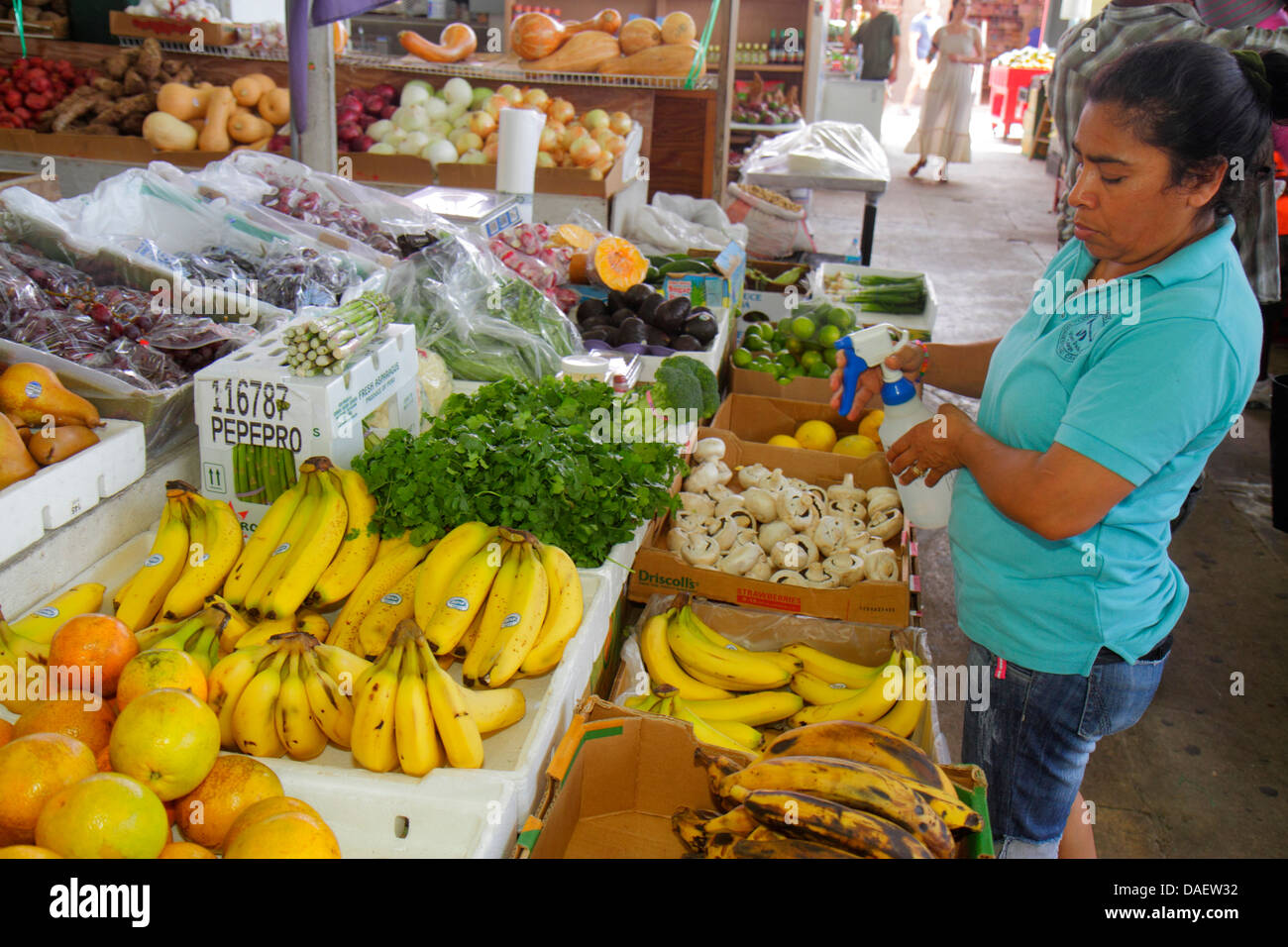 Miami Florida,Homestead,Redland's Farmers Market,produits,fruits,vente,shopping shopper shoppers magasins marché marchés achats vente,et Banque D'Images