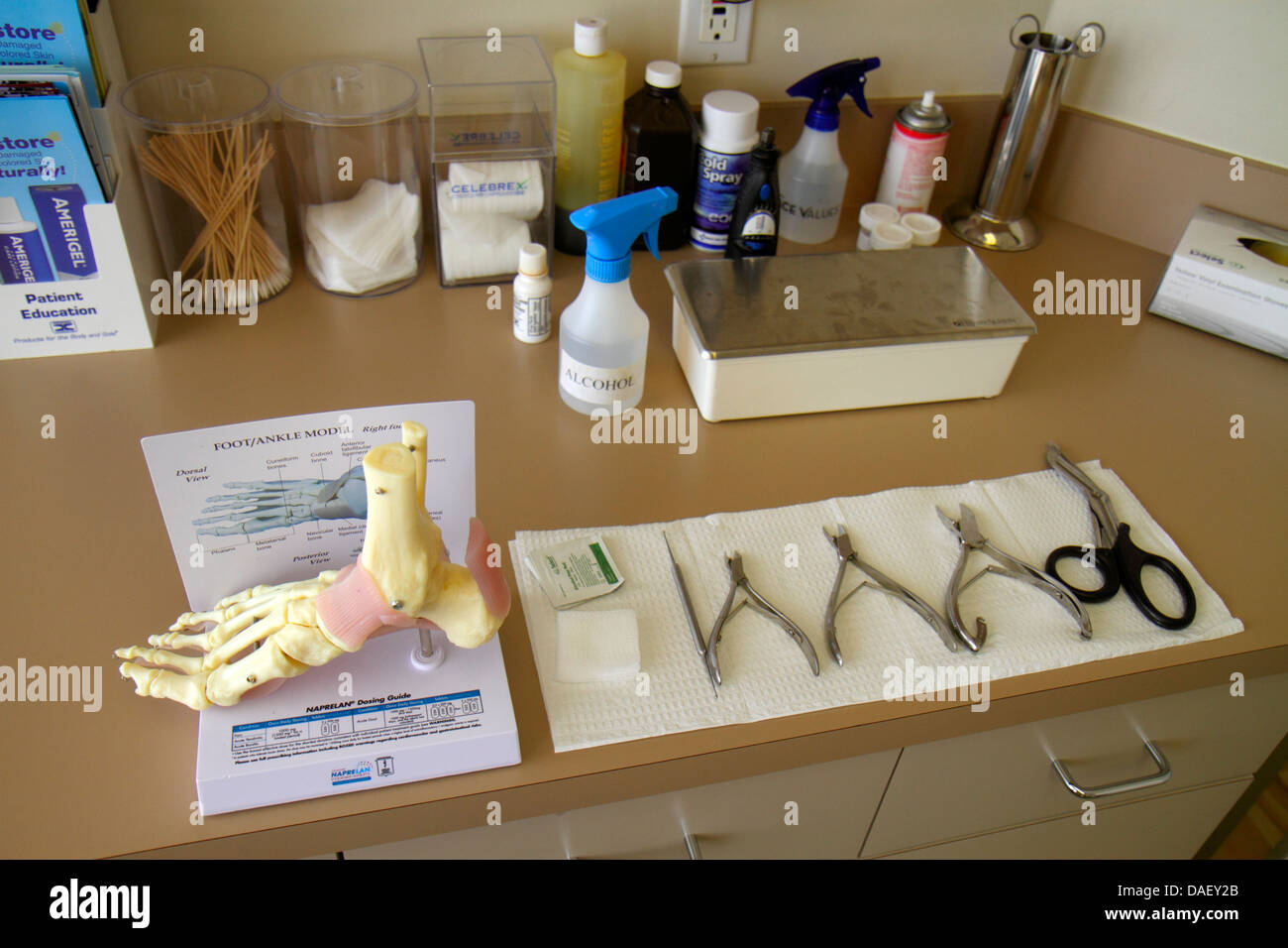 Miami Beach Florida,Mount Sinai Medical Center,centre,hôpital,cabinet du médecin,salle d'examen,podiatre,pied cheville modèle,squelette,outils,FL130601053 Banque D'Images