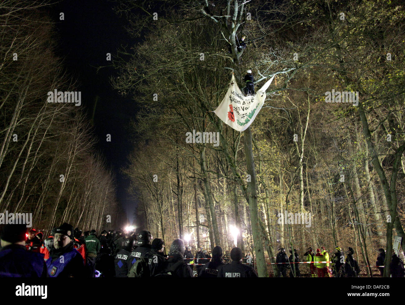 Un militant du groupe de l'environnement Robin des Bois est suspendu dans un arbre pendant les manifestations contre le Castor transport nucléaire près de Harlingen, Allemagne, 27 novembre 2011. Le 13ème transport de déchets nucléaires allemands est prévu à l'installation de stockage provisoire de Gorleben en à partir de l'usine de retraitement en France cette semaine. Photo : Kay Nietfeld Banque D'Images