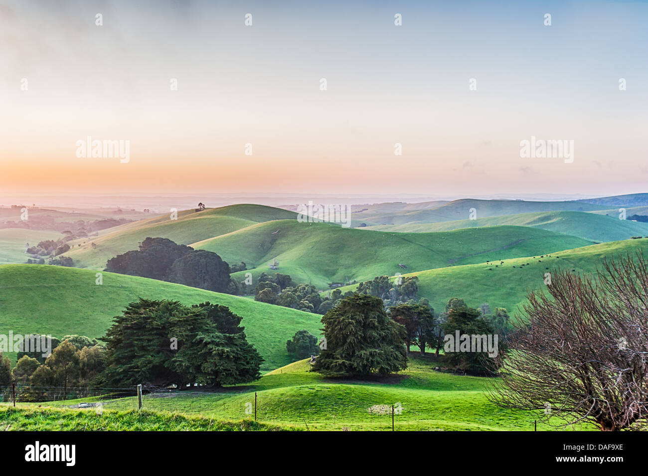 Des collines de terres agricoles et de ciel bleu dans l'état australien de Victoria, Gippsland Banque D'Images