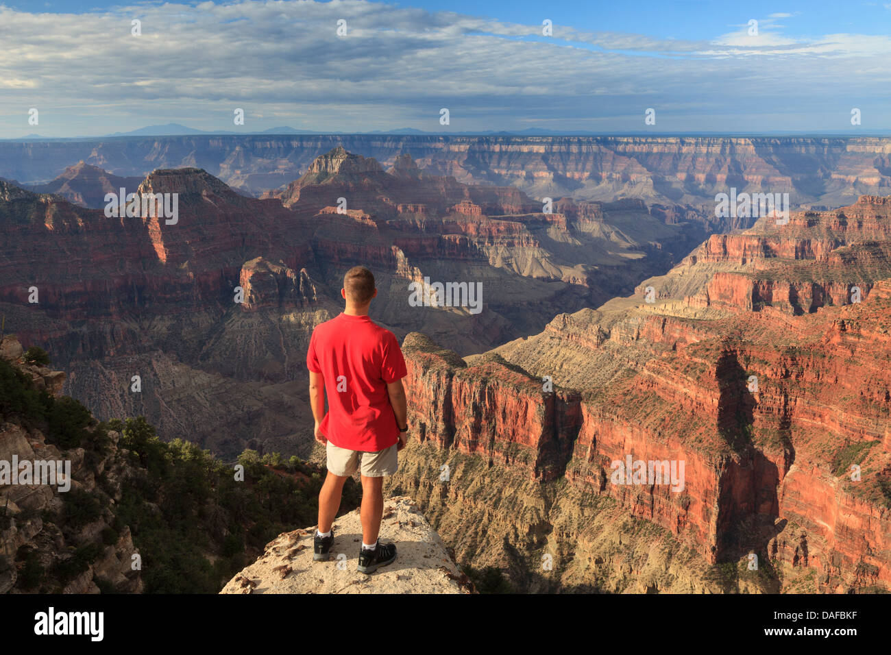 USA, Arizona, Grand Canyon National Park, North Rim, Bright Angel Point (MR) Banque D'Images