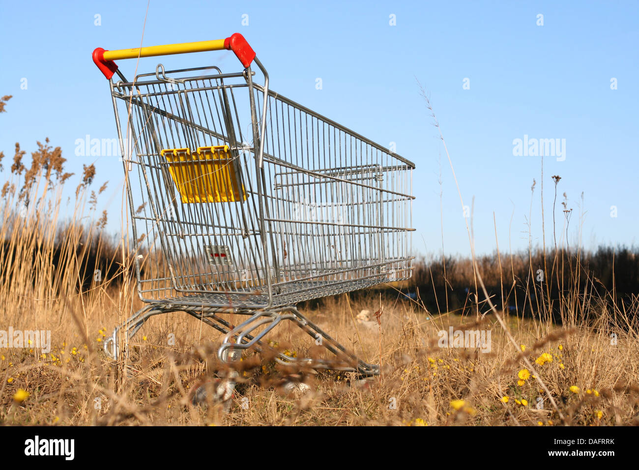 Rendez-vous à la forêt Panier 9 fois concept nature Banque D'Images