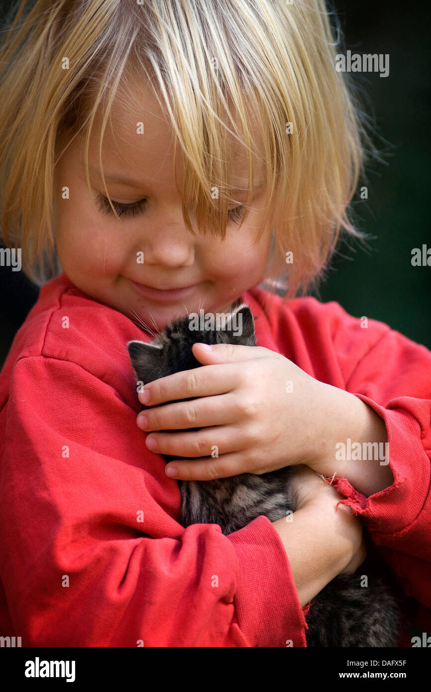 Chat domestique, le chat domestique (Felis silvestris catus). f, quatre ans fille avec un chaton de 3 semaines, Allemagne Banque D'Images