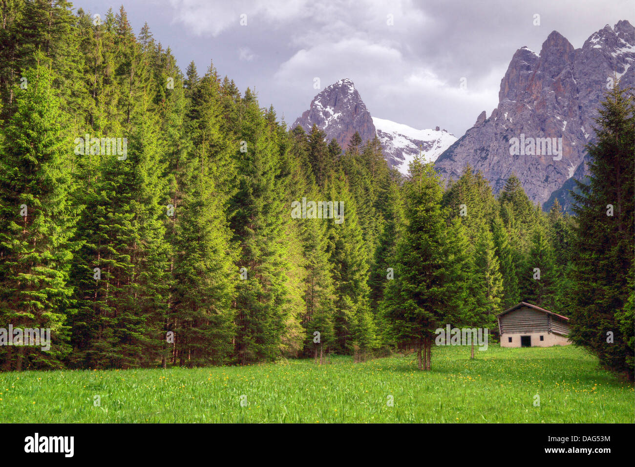 Auronzo, Val Da Rin, l'Italie, le Tyrol du Sud, Dolomiten Banque D'Images