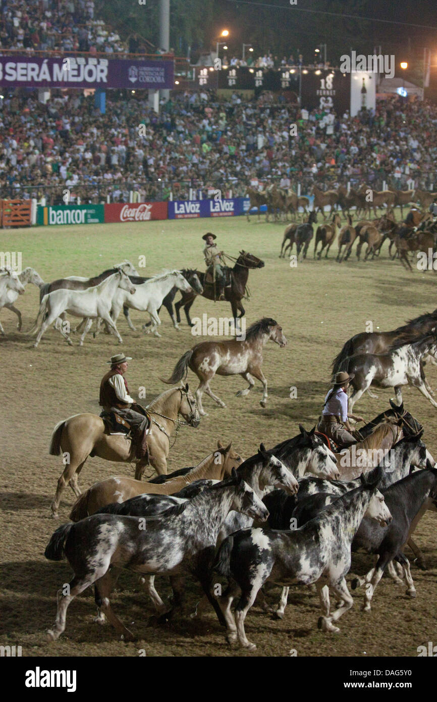 Gauchos et chevaux pendant la finale du Festival Nacional de Doma y Folclore à Jésus Maria, province de Cordoba, Argentine Banque D'Images