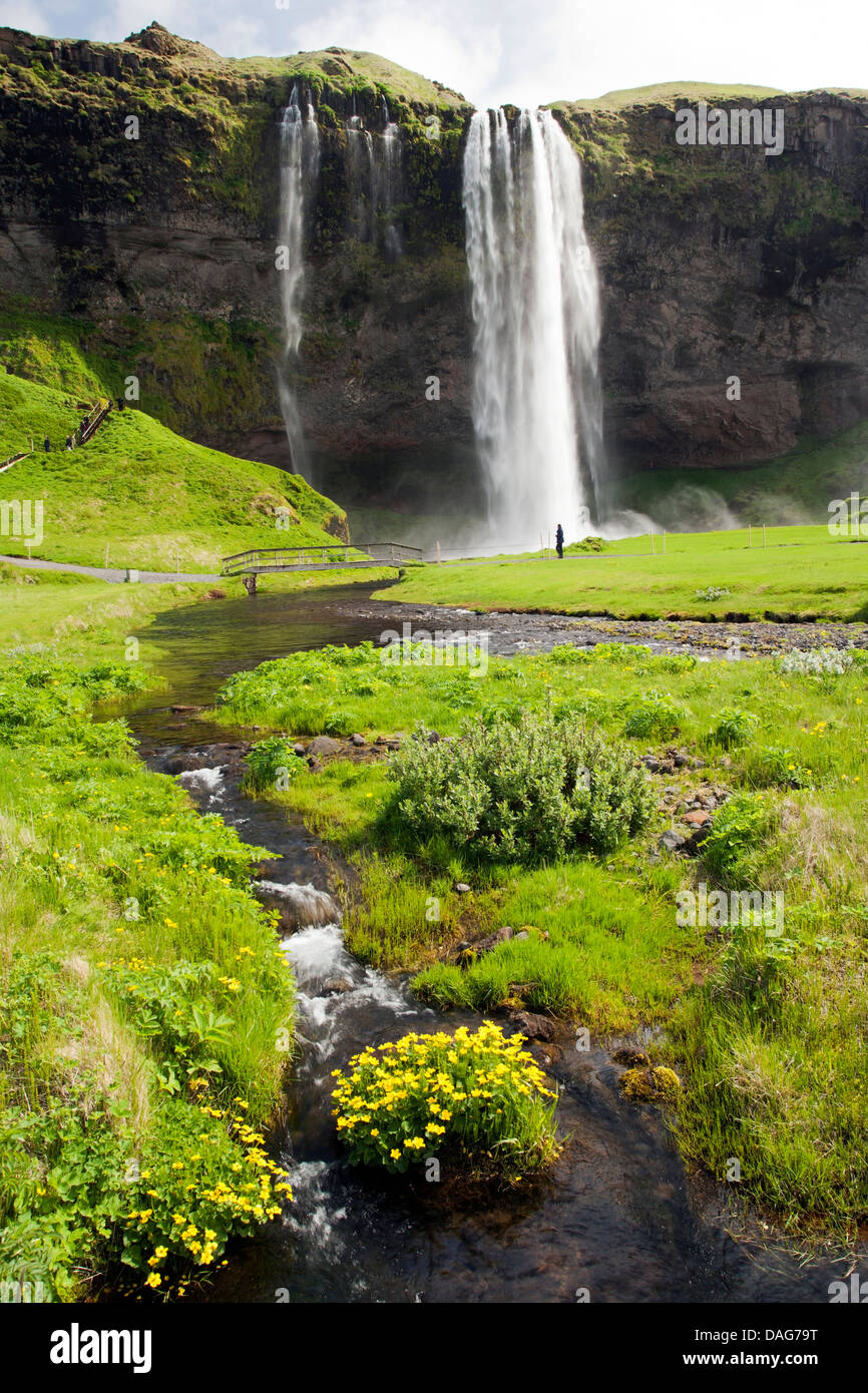 Cascade de Seljalandsfoss - Sud de l'Islande Banque D'Images