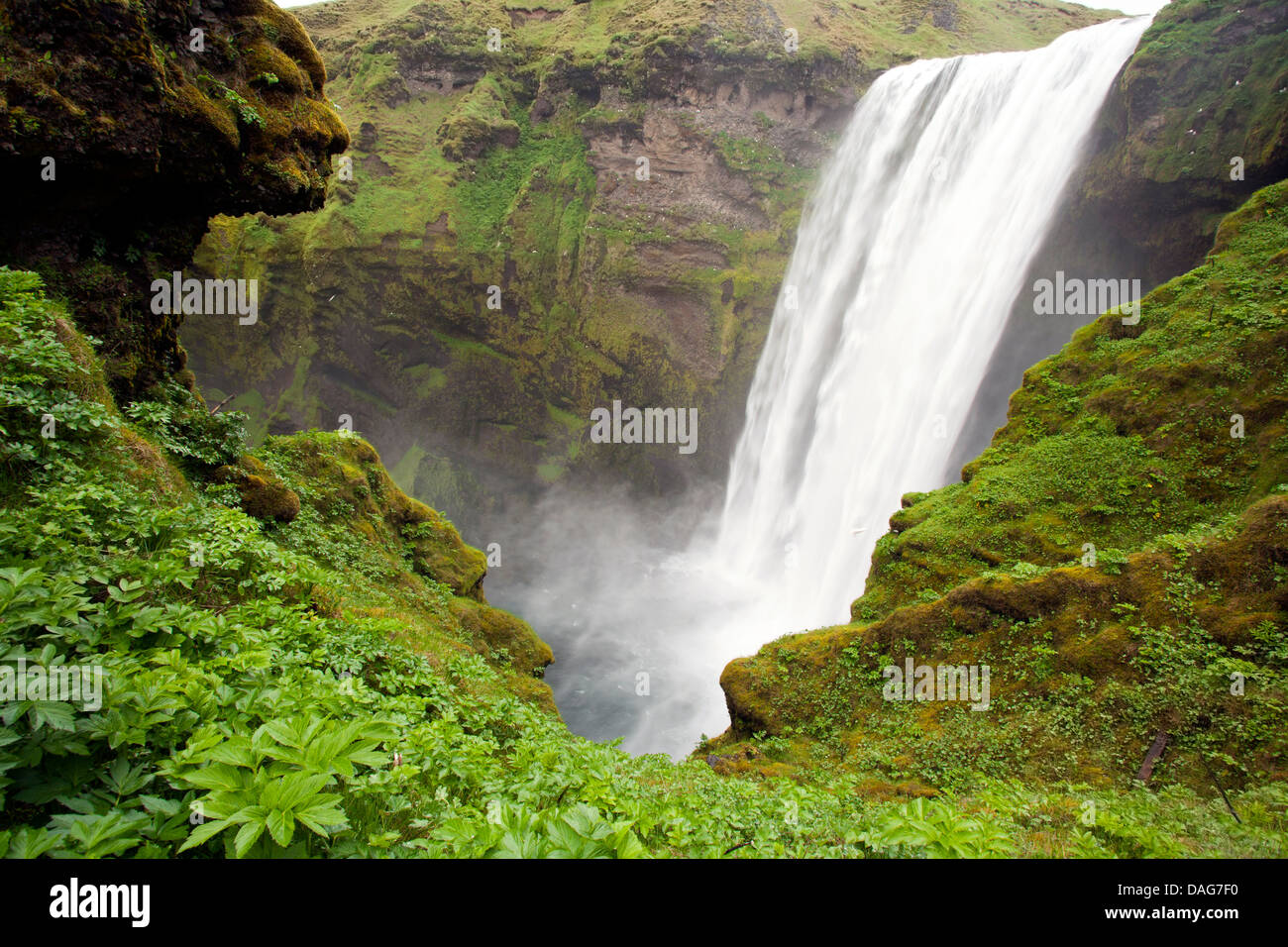 Cascade de Skogafoss - Skogar, Islande Banque D'Images