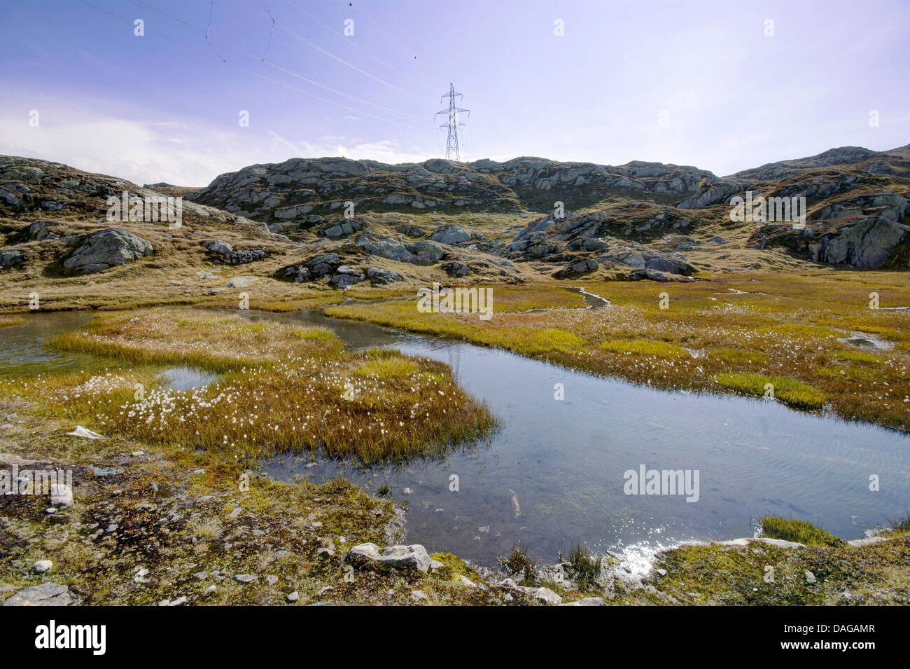 Ligne à haute tension à travers un highmoor paysage dans la région de Grimselpass, Suisse, Valais, Haut-valais, Valais Banque D'Images