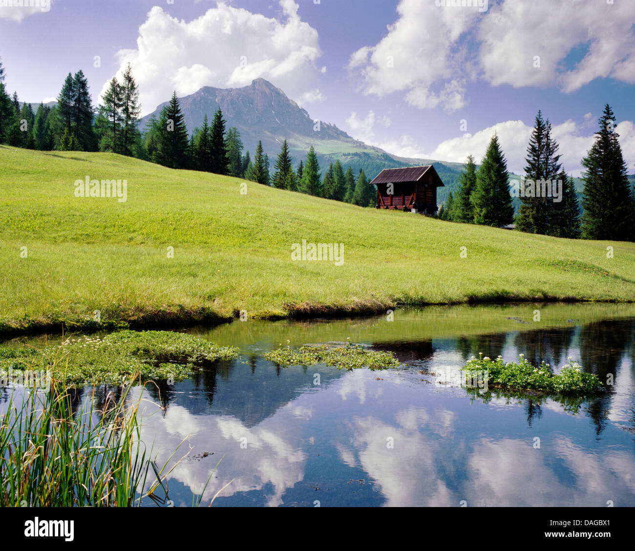 Alpage et cabane en bois dans le parc naturel de l'Puetz-Geisler, Italie, Dolomites Tyrol du Sud, Banque D'Images