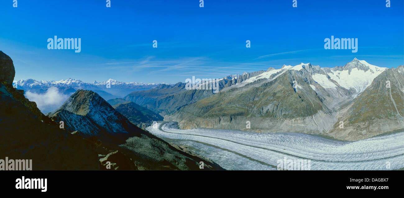 Vue panoramique de la frm Egishorn au moindre Glacier d'Aletsch avec le groupe Weisshorn et à droite l'Aletschhorn, Suisse, Valais, Valais, Aletschgebiet Banque D'Images