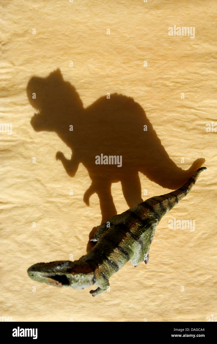 Dinosaure Tyrannosaure jouet T-Rex avec une ombre. Se concentrer sur l'ombre Banque D'Images
