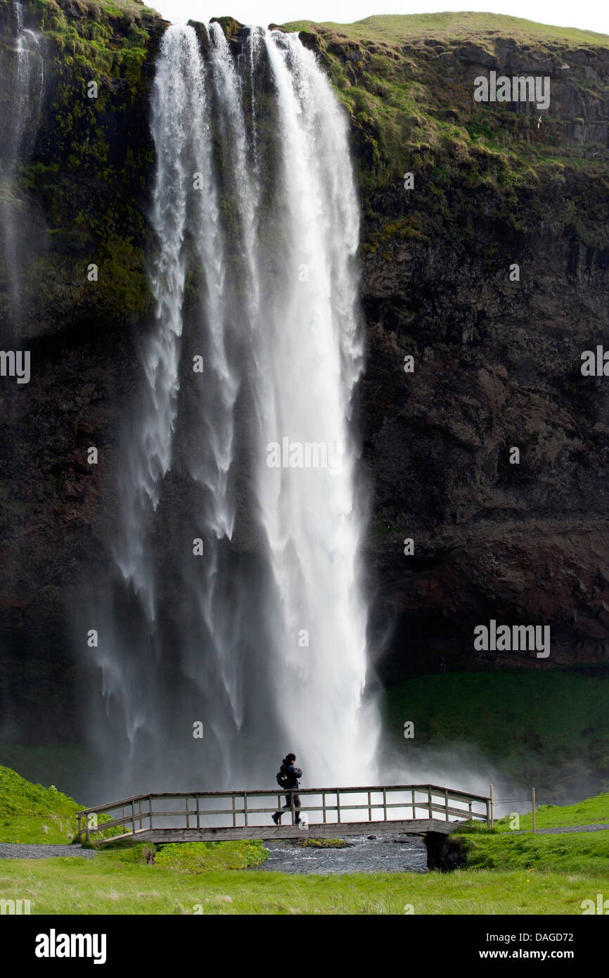 Cascade de Seljalandsfoss - Sud de l'Islande Banque D'Images