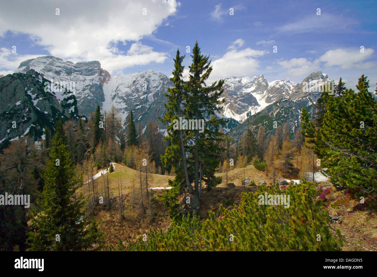 Vue sur Seehofel groupe, l'Italie, le Tyrol du Sud, Dolomites Banque D'Images