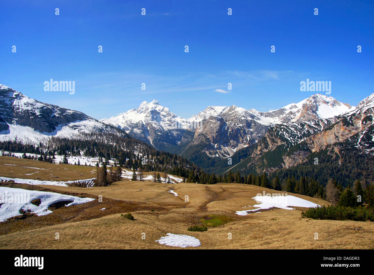 Avis sur groupe Cristallo, Germany, Dolomites, le Parc Naturel de Fanes-Sennes-Prags Banque D'Images