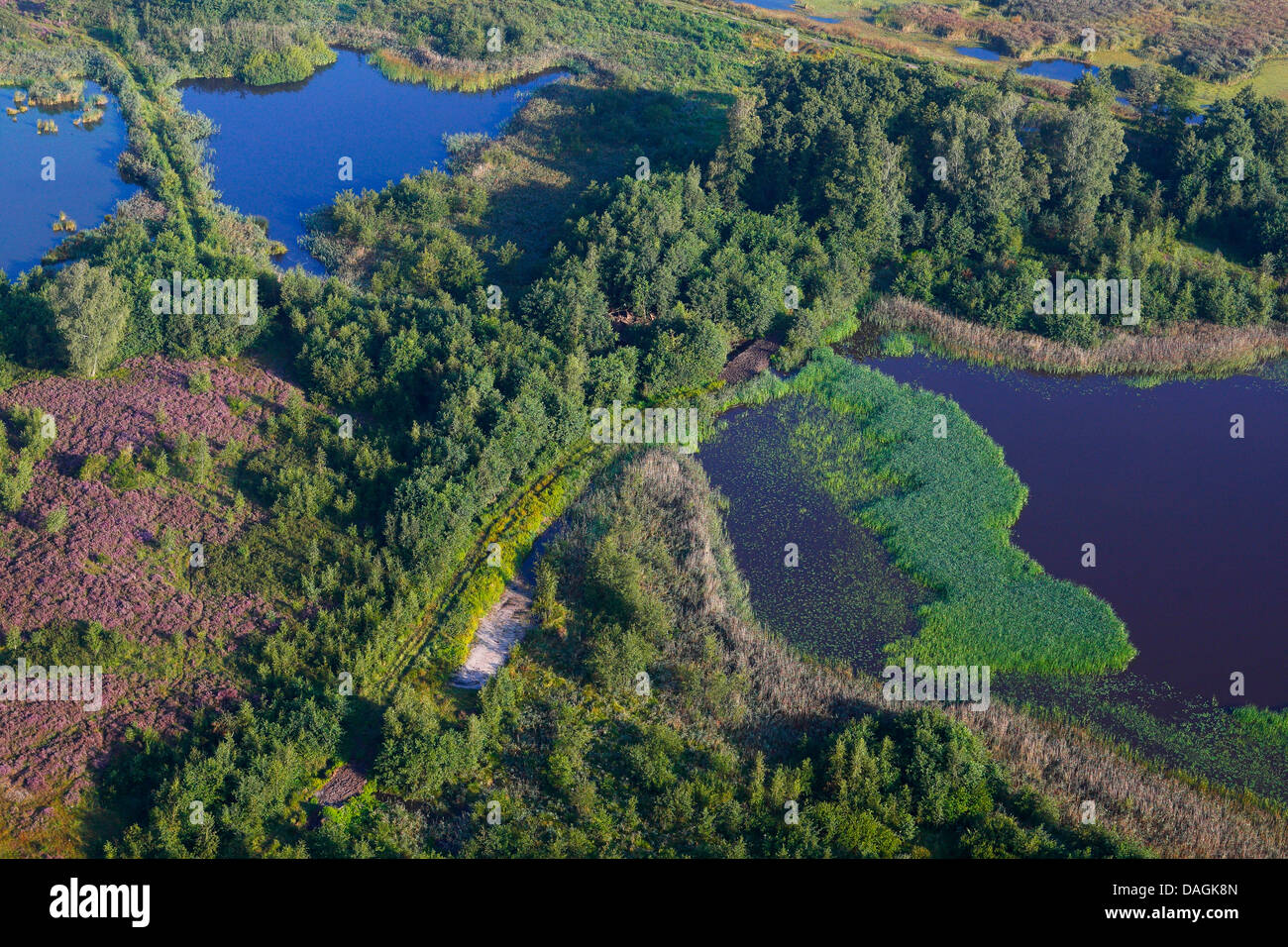 Vue aérienne de la réserve naturelle de Teut, Belgique, Limbourg, Hoge Kempen National Park Banque D'Images